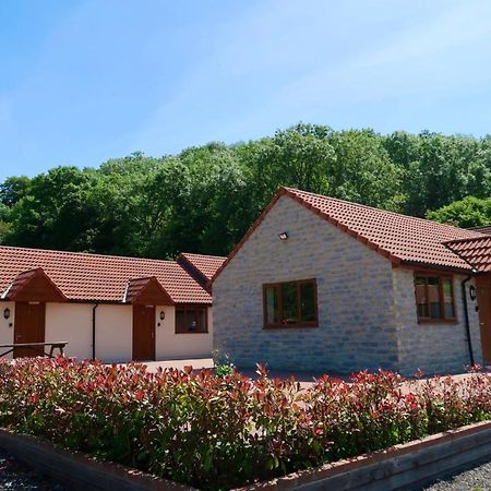 فندق Lillypool Farm Shipham المظهر الخارجي الصورة